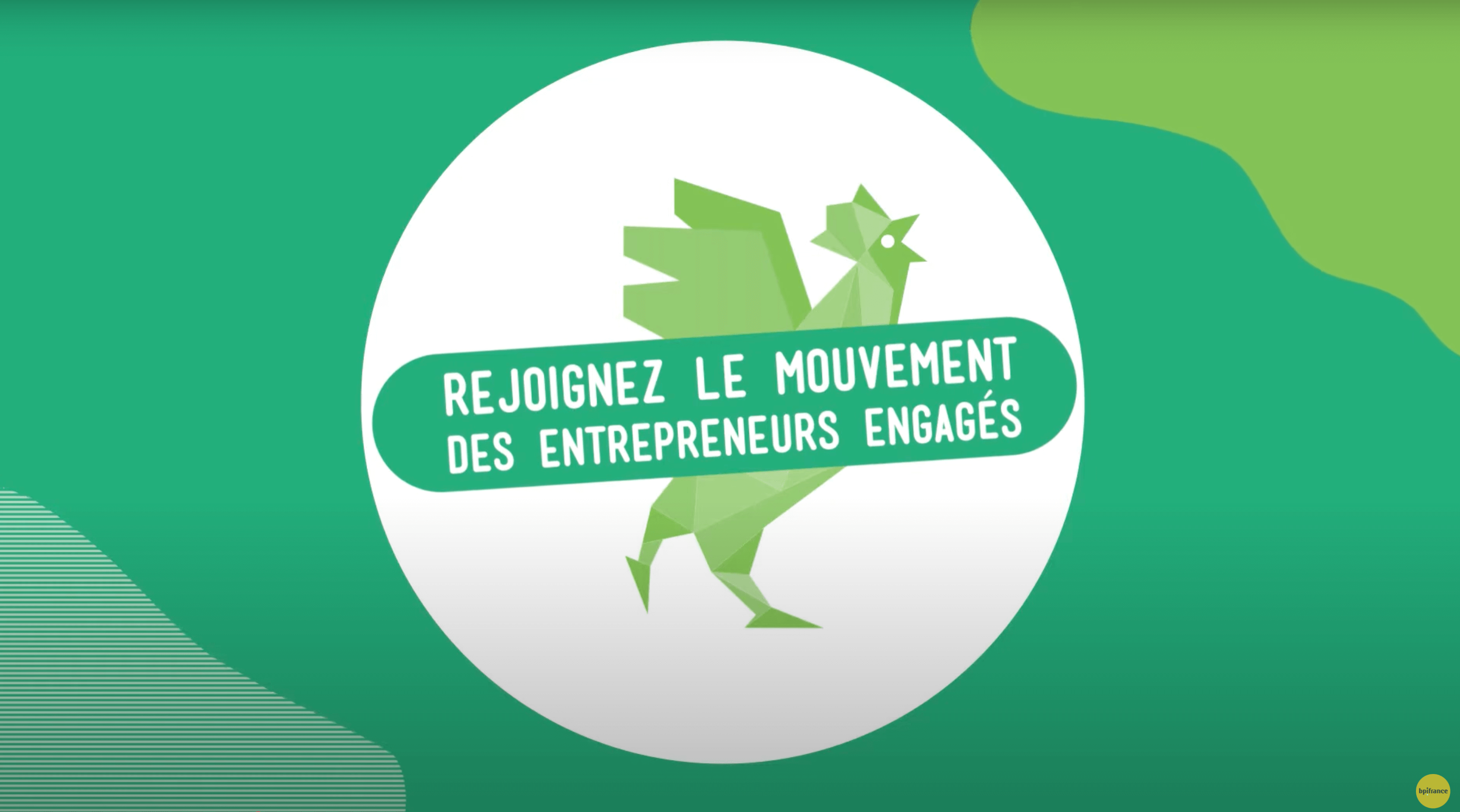 Coq Vert